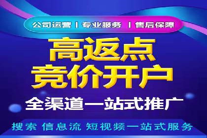 百度广告推广的投放策略与市场分析